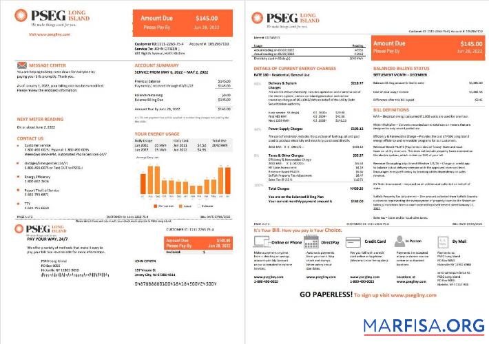 Realistic USA New Jersey PSEG electricity utility bill template in Word and PDF format, 2 pages